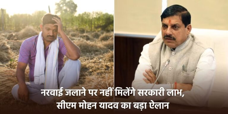 MP News: नरवाई जलाने पर नहीं मिलेंगे सरकारी लाभ, सीएम मोहन यादव का निर्देश, 1 मई से पूरे राज्य में लागू होगी सख्ती